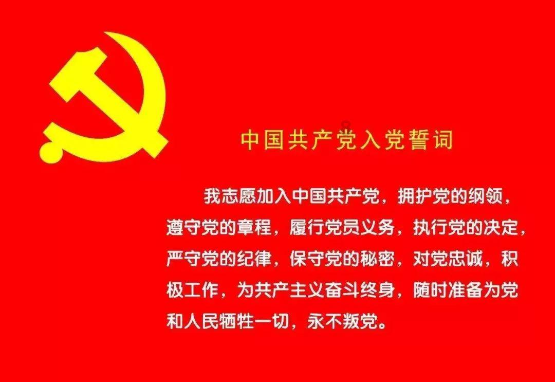 春雨直播app